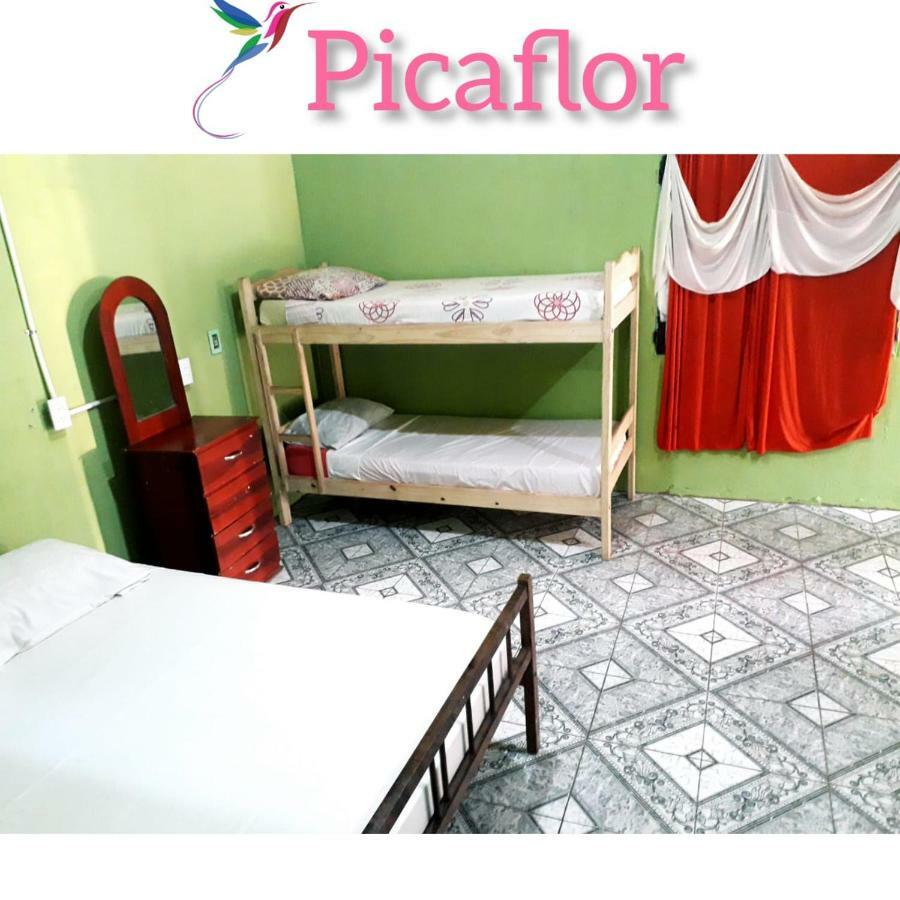 Хостел Alojamiento Picaflor Iguazu Пуэрто-Игуасу Экстерьер фото